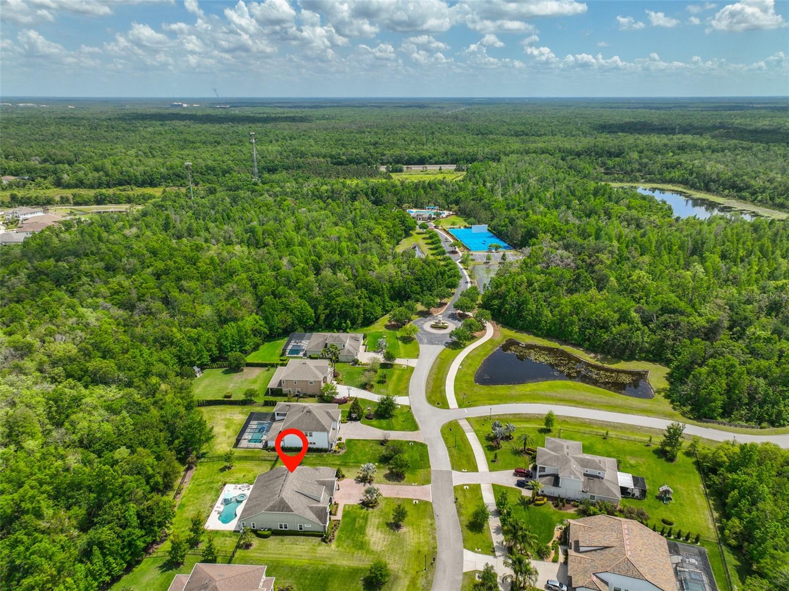 17811 NEWCASTLE FIELD DR, LUTZ, FL, 33559
