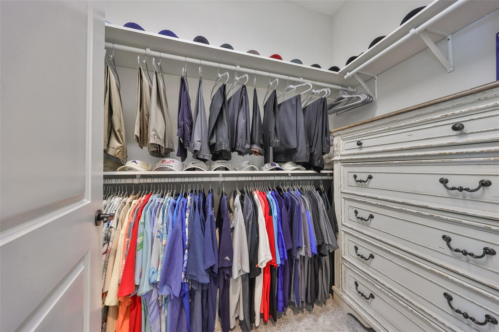 17811 NEWCASTLE FIELD DR, LUTZ, FL, 33559