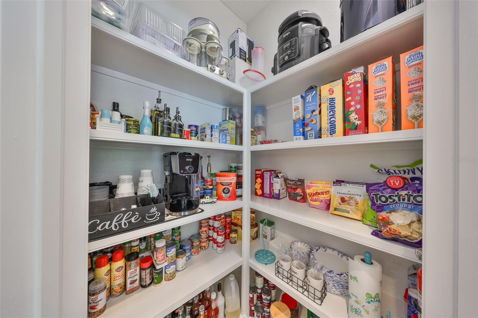 17811 NEWCASTLE FIELD DR, LUTZ, FL, 33559