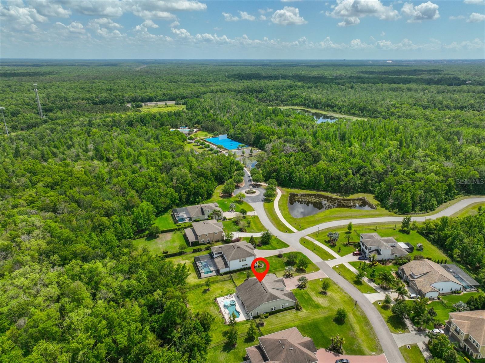 17811 NEWCASTLE FIELD DR, LUTZ, FL, 33559