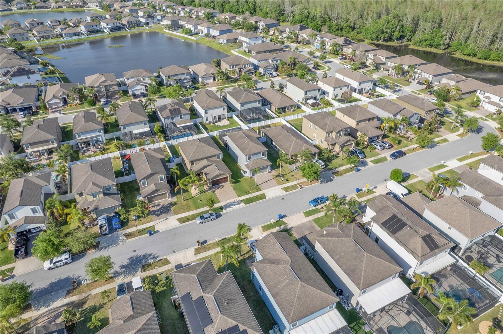 11844 CRESTRIDGE LOOP, TRINITY, FL, 34655