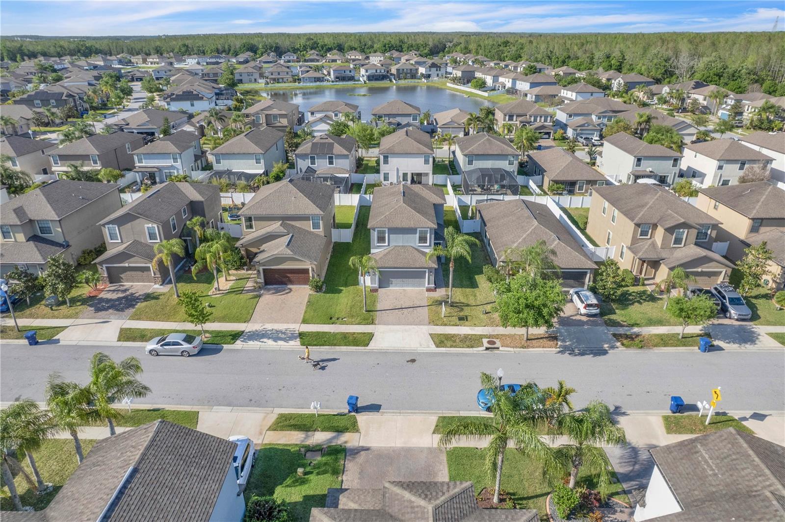 11844 CRESTRIDGE LOOP, TRINITY, FL, 34655