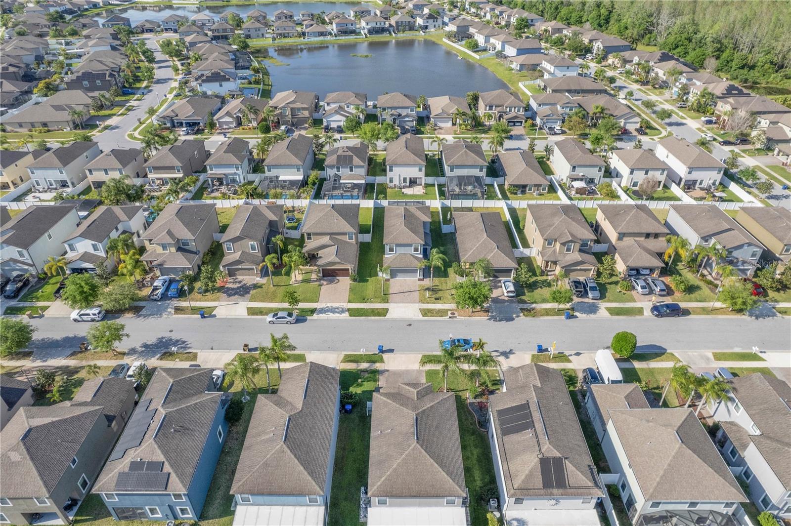 11844 CRESTRIDGE LOOP, TRINITY, FL, 34655