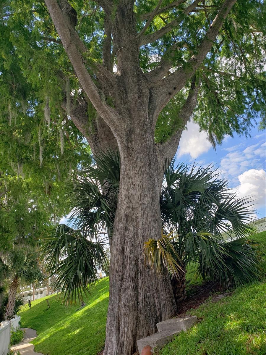 1140 S ORLANDO AVE #E-1, MAITLAND, FL, 32751
