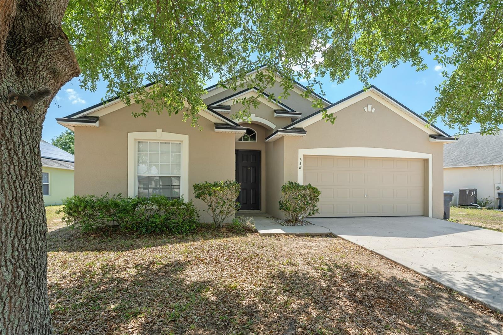 558 KNOLLWOOD DR, DAVENPORT, FL, 33837