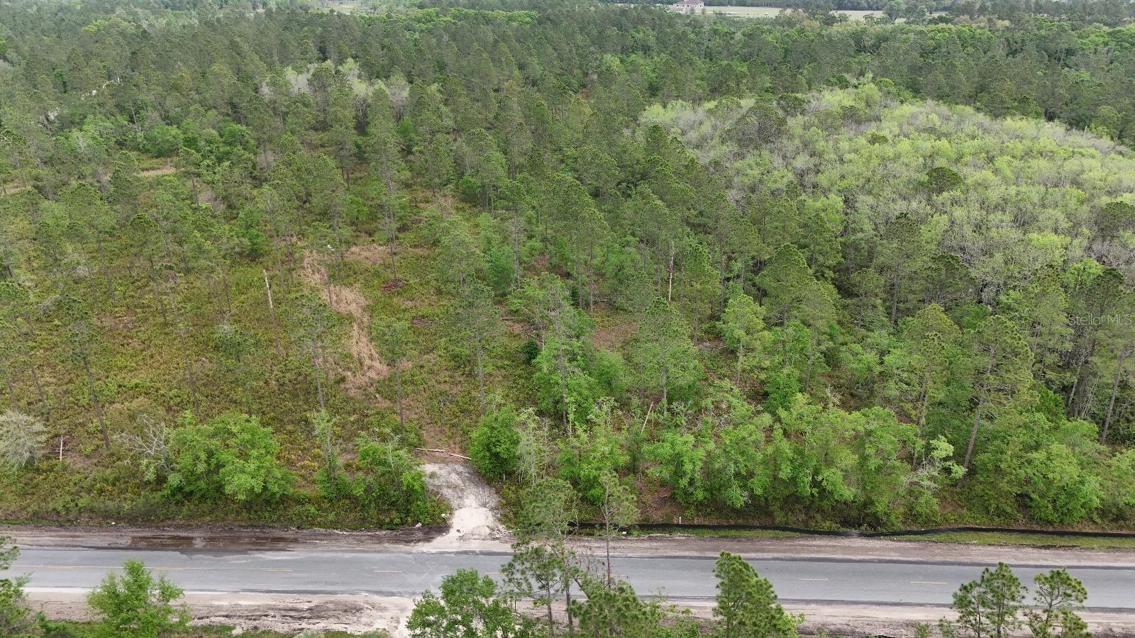 SE 95TH ST, WHITE SPRINGS, FL, 32096