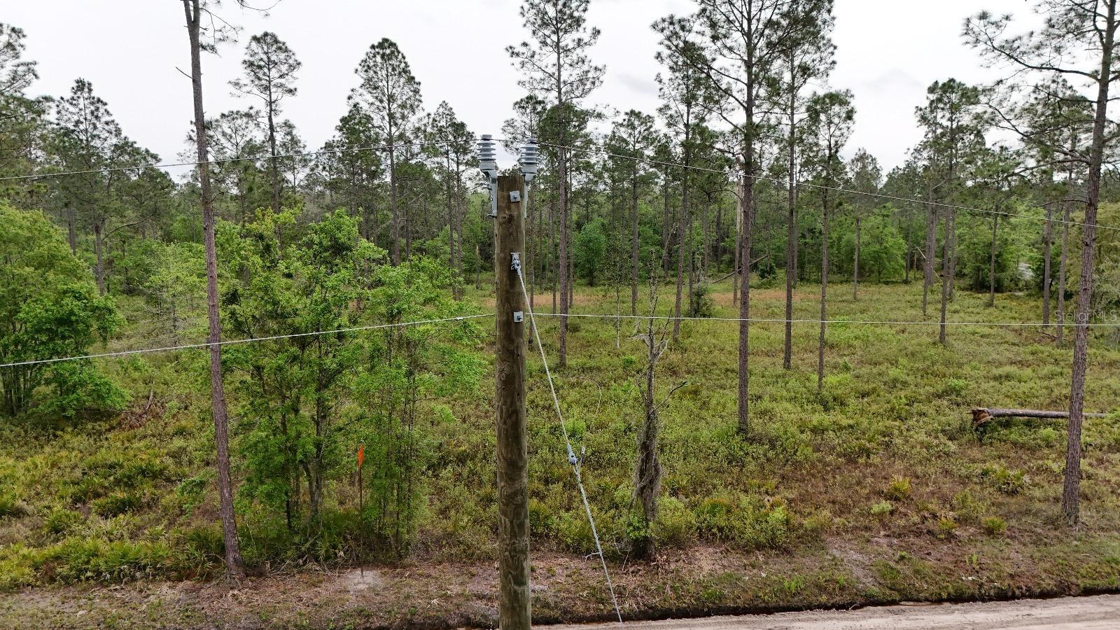 SE 95TH ST, WHITE SPRINGS, FL, 32096