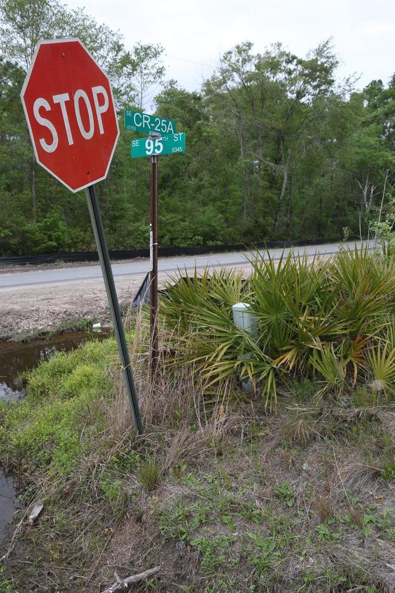 SE 95TH ST, WHITE SPRINGS, FL, 32096