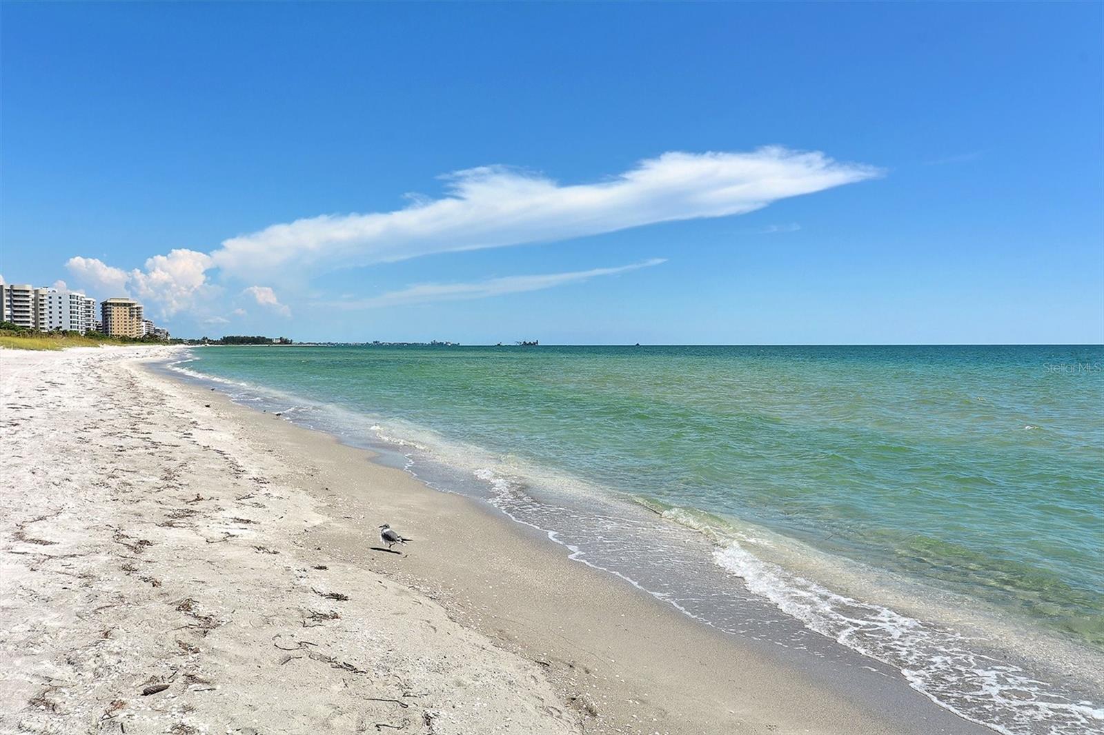 1050 LONGBOAT CLUB ROAD #903, LONGBOAT KEY, FL, 34228