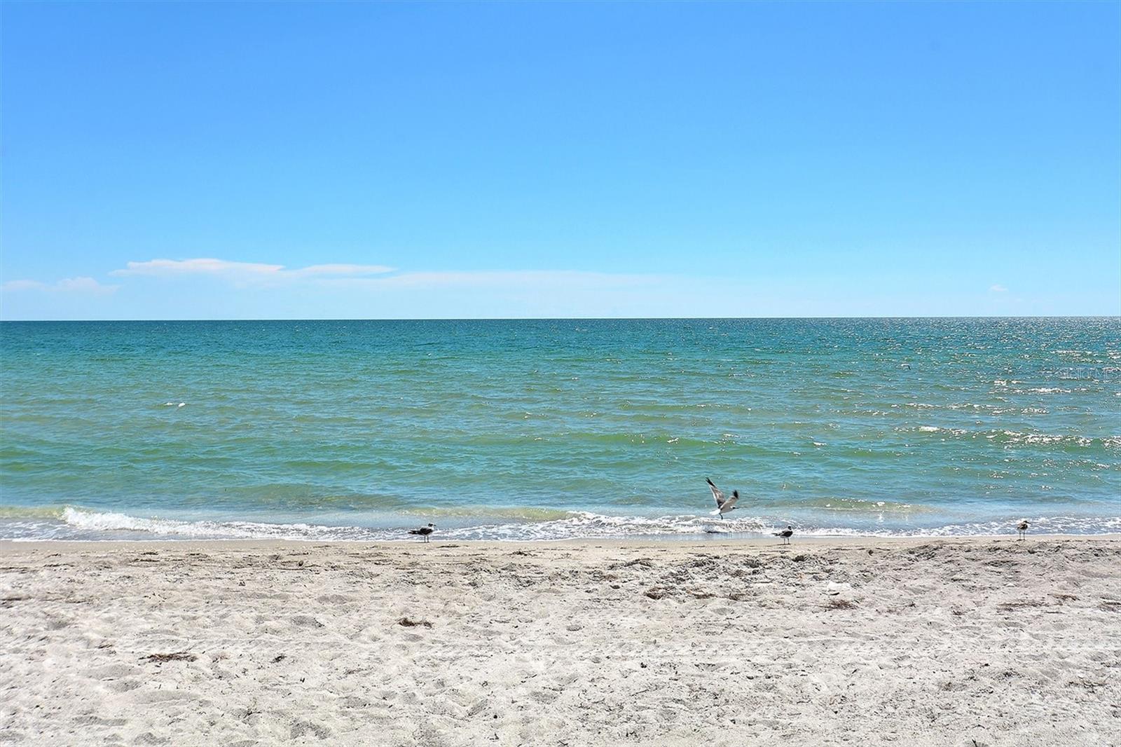 1050 LONGBOAT CLUB ROAD #903, LONGBOAT KEY, FL, 34228