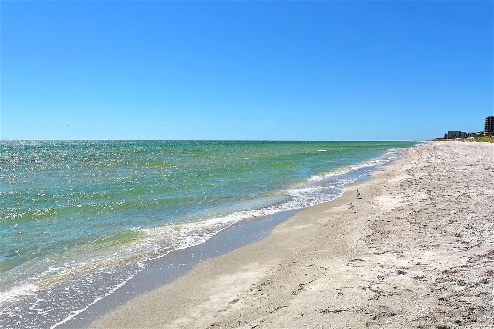 1050 LONGBOAT CLUB ROAD #903, LONGBOAT KEY, FL, 34228