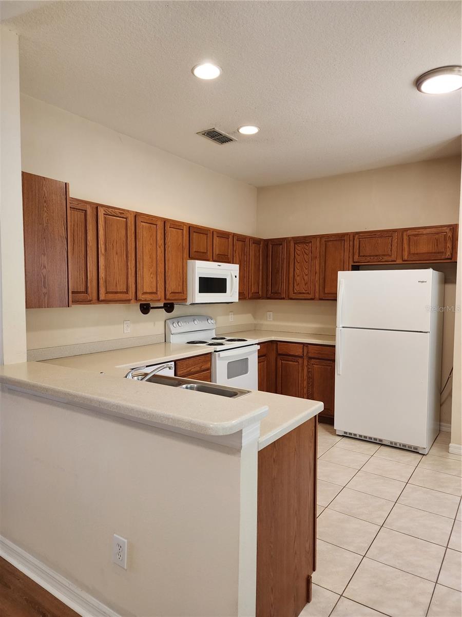1224 LONGVILLE CIR, TAVARES, FL, 32778