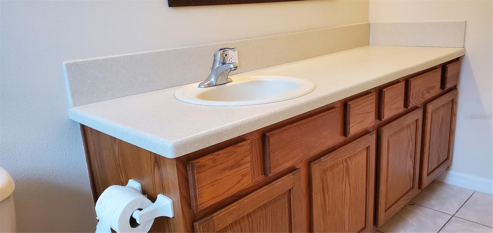 1224 LONGVILLE CIR, TAVARES, FL, 32778