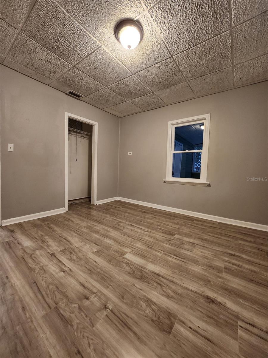 SINEWOOD, TAMPA, FL, 33604