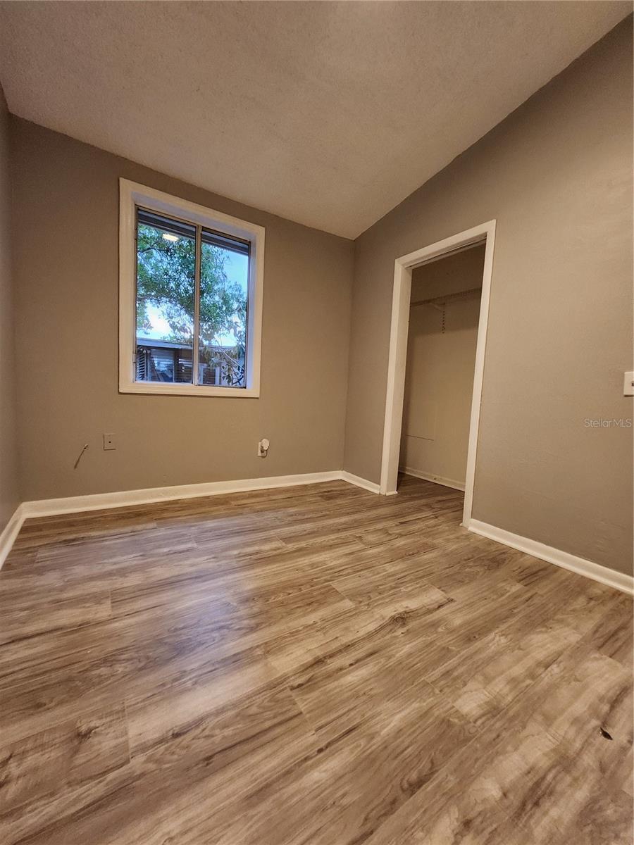 SINEWOOD, TAMPA, FL, 33604