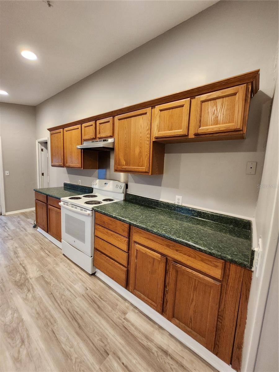 SINEWOOD, TAMPA, FL, 33604