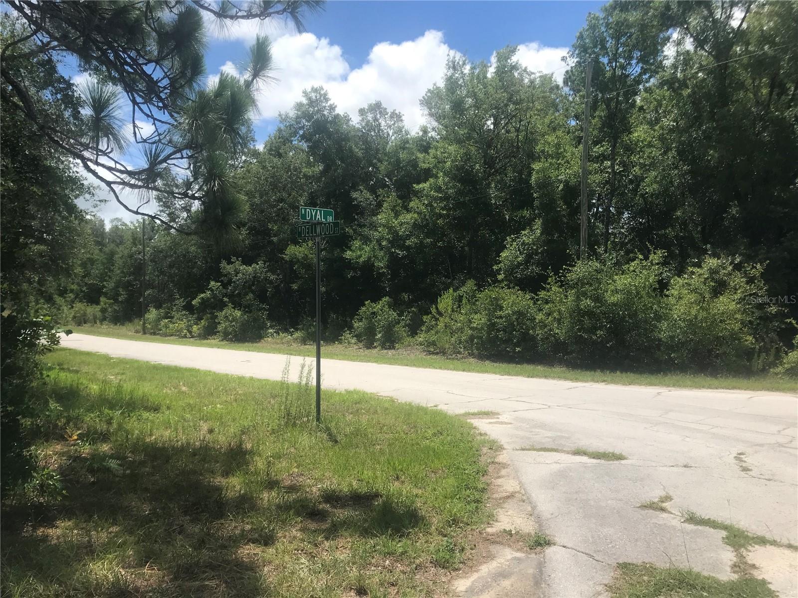 10161 N DYAL DR, CITRUS SPRINGS, FL, 34434