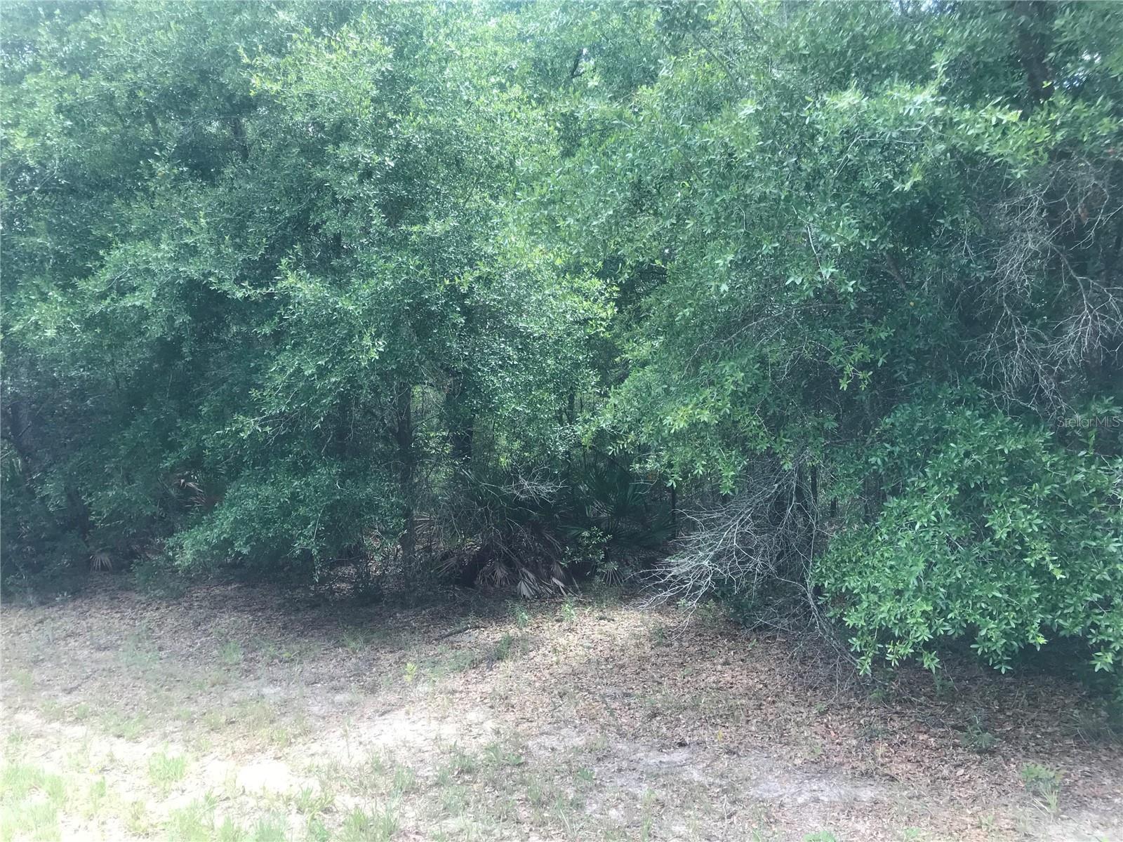10161 N DYAL DR, CITRUS SPRINGS, FL, 34434
