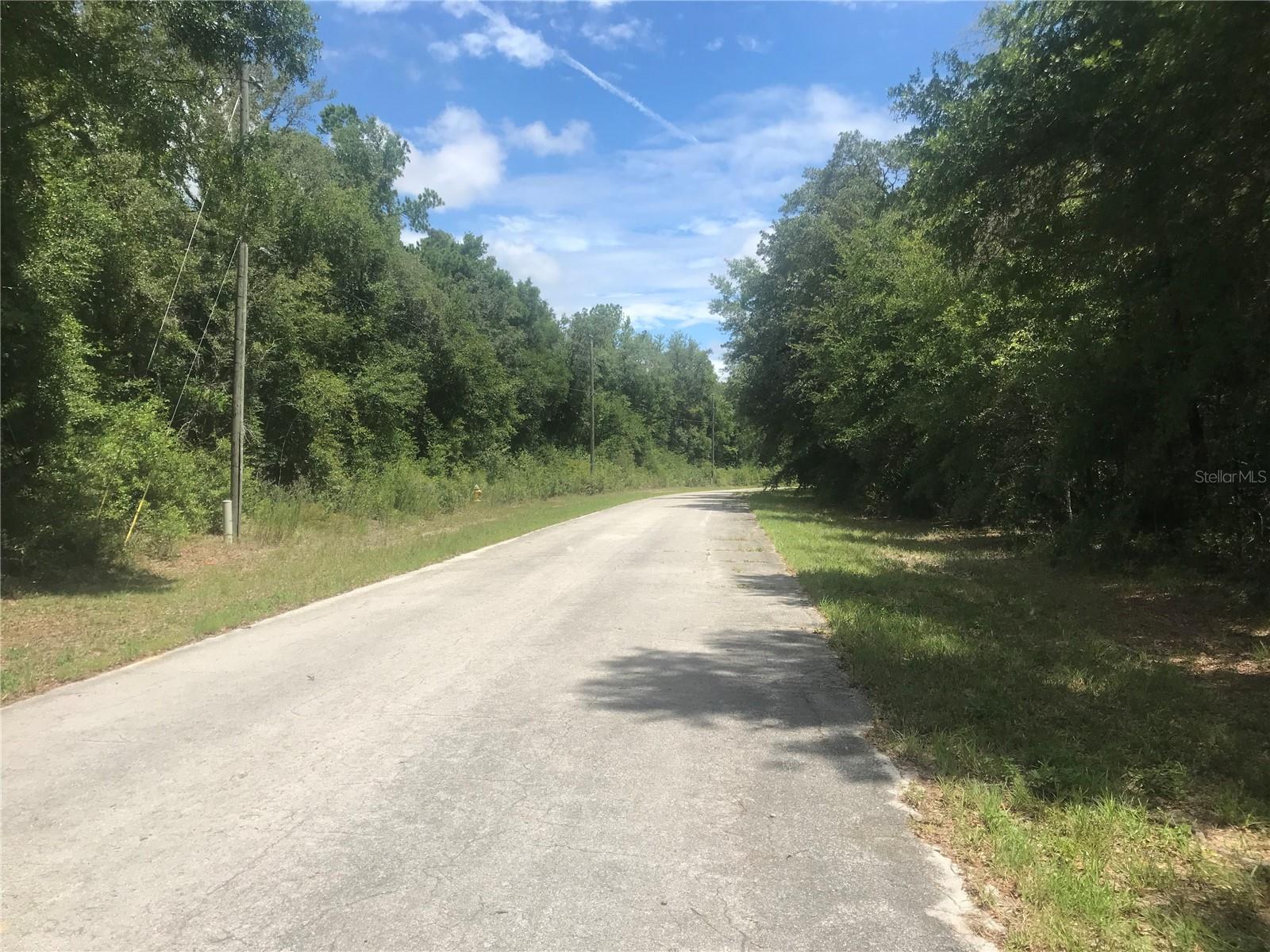 10161 N DYAL DR, CITRUS SPRINGS, FL, 34434