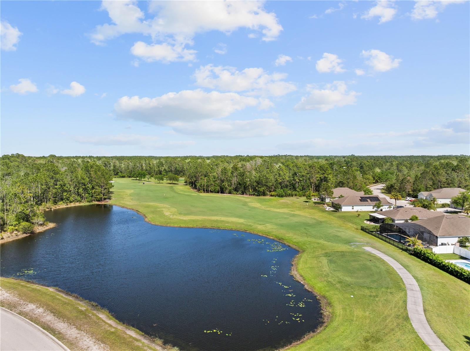 314 GRAND RESERVE DR, BUNNELL, FL, 32110