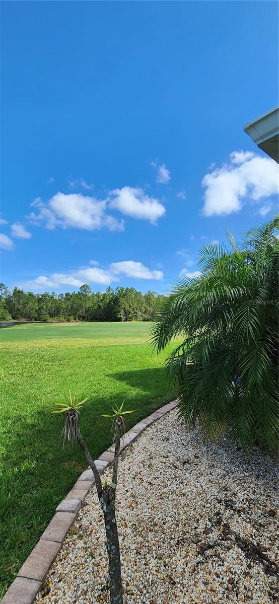 314 GRAND RESERVE DR, BUNNELL, FL, 32110