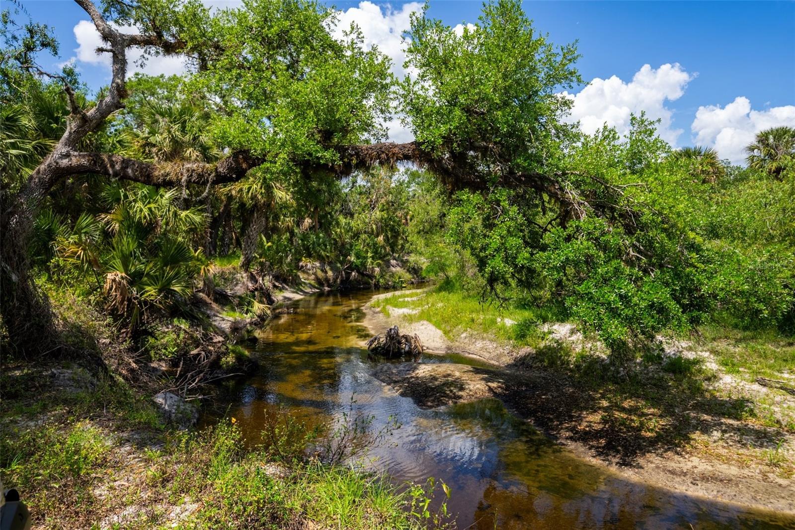 12615 RIVER RD, MYAKKA CITY, FL, 34251