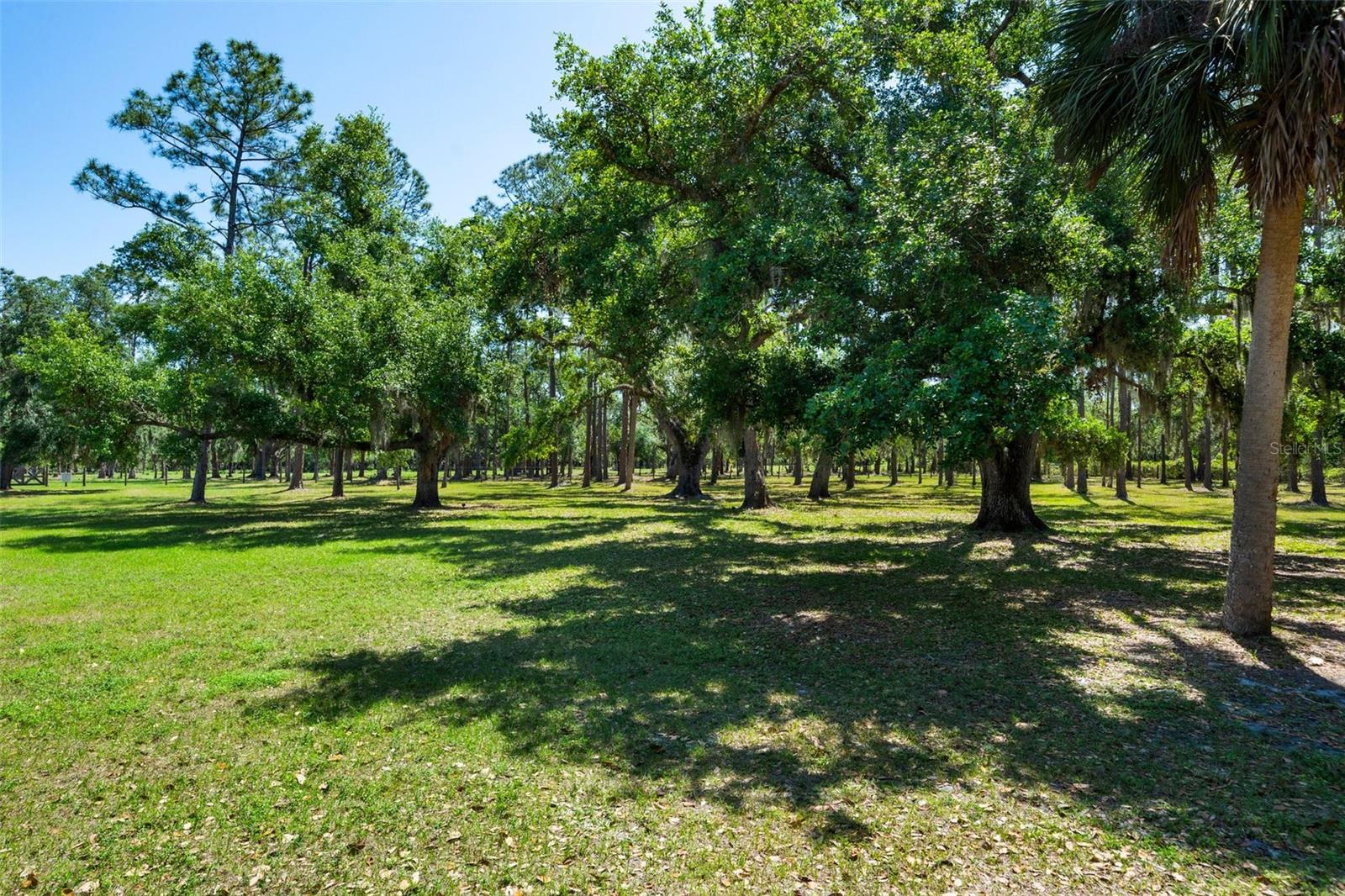 12615 RIVER RD, MYAKKA CITY, FL, 34251