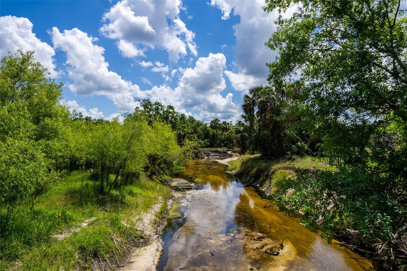 12615 RIVER RD, MYAKKA CITY, FL, 34251