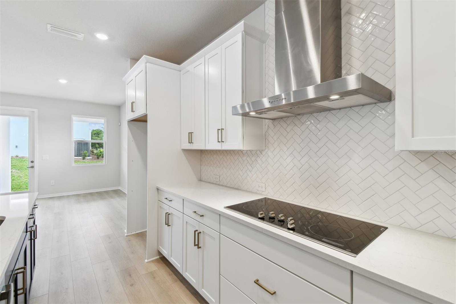 5950 BRISTLE OAK ST, MOUNT DORA, FL, 32757