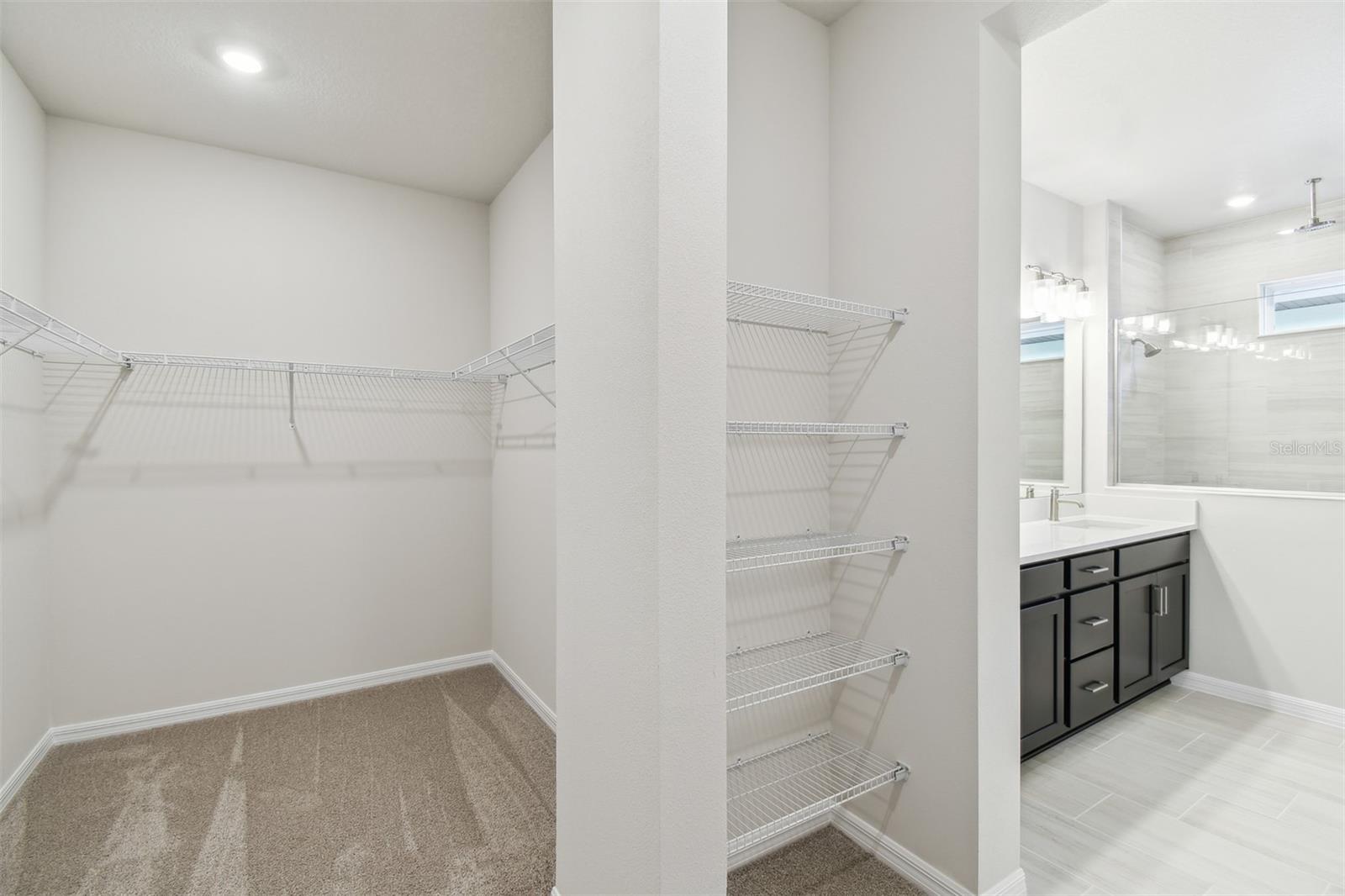 5950 BRISTLE OAK ST, MOUNT DORA, FL, 32757