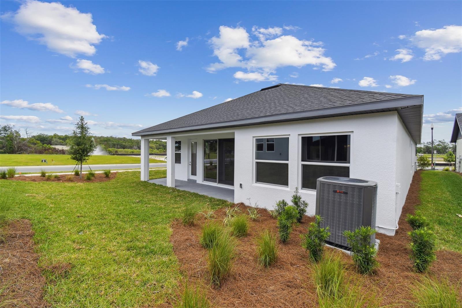 5950 BRISTLE OAK ST, MOUNT DORA, FL, 32757