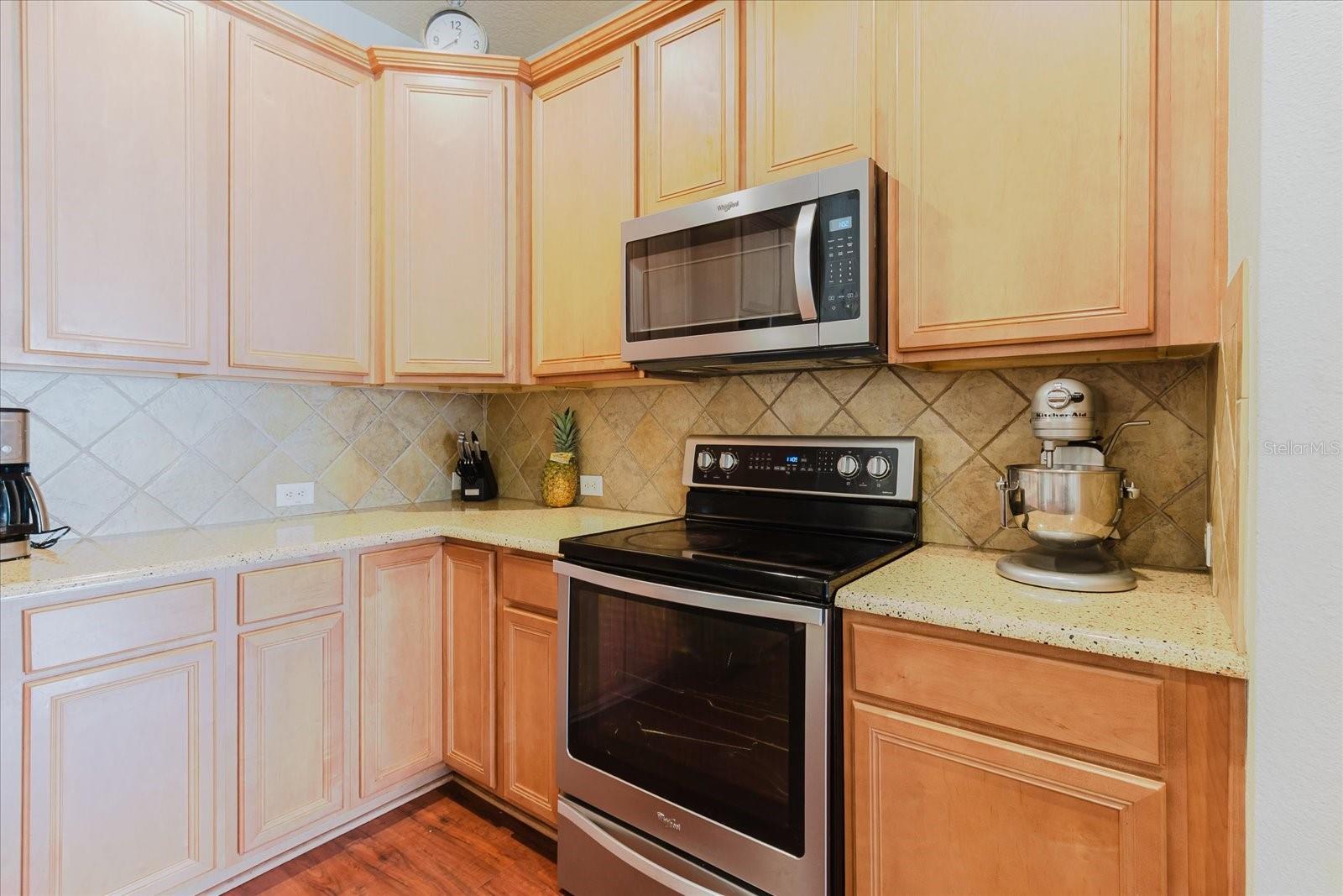 12506 SAFARI LN, RIVERVIEW, FL, 33579