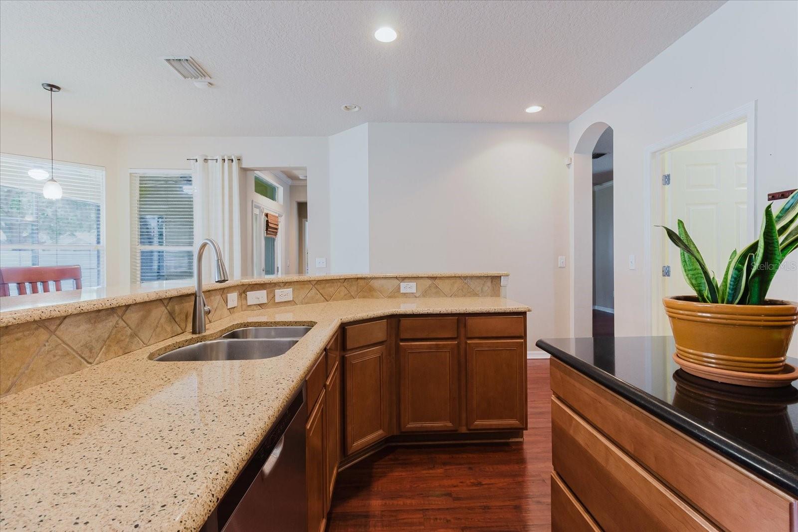 12506 SAFARI LN, RIVERVIEW, FL, 33579
