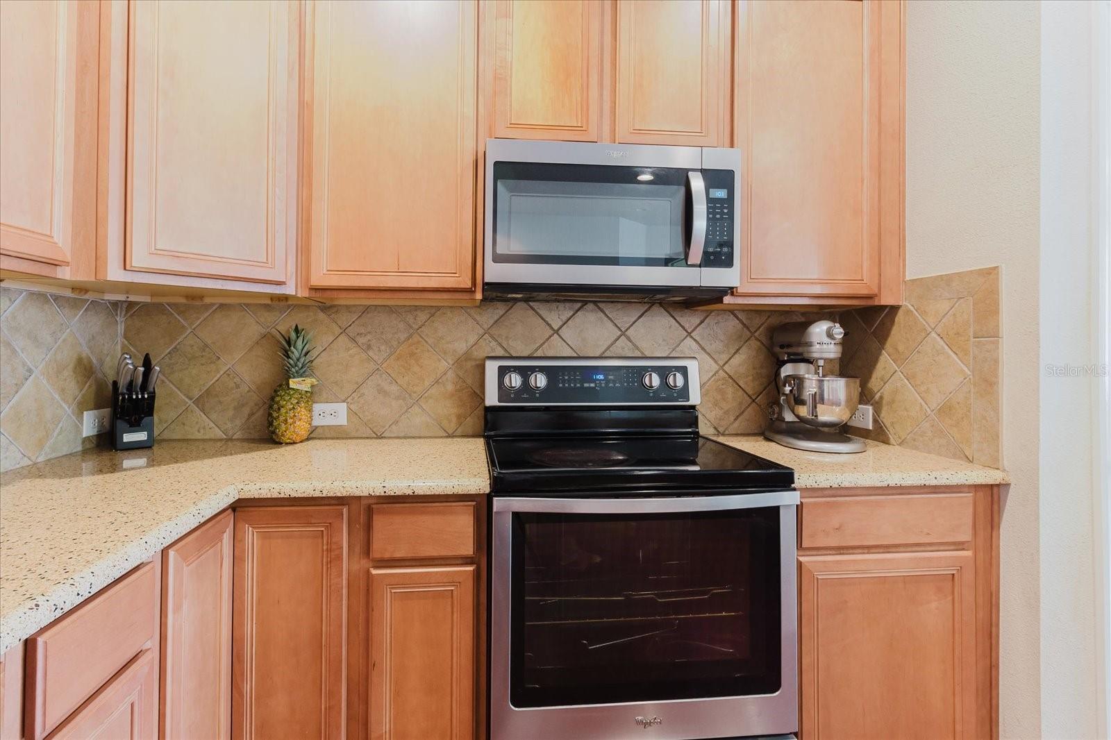 12506 SAFARI LN, RIVERVIEW, FL, 33579