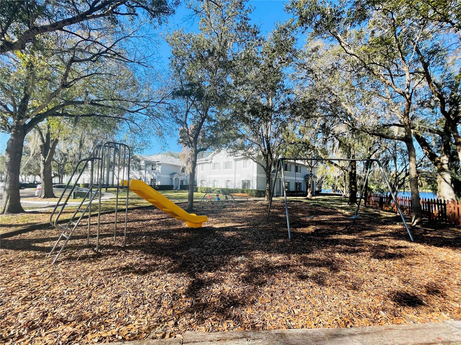 7181 E BANK DR #103, TAMPA, FL, 33617