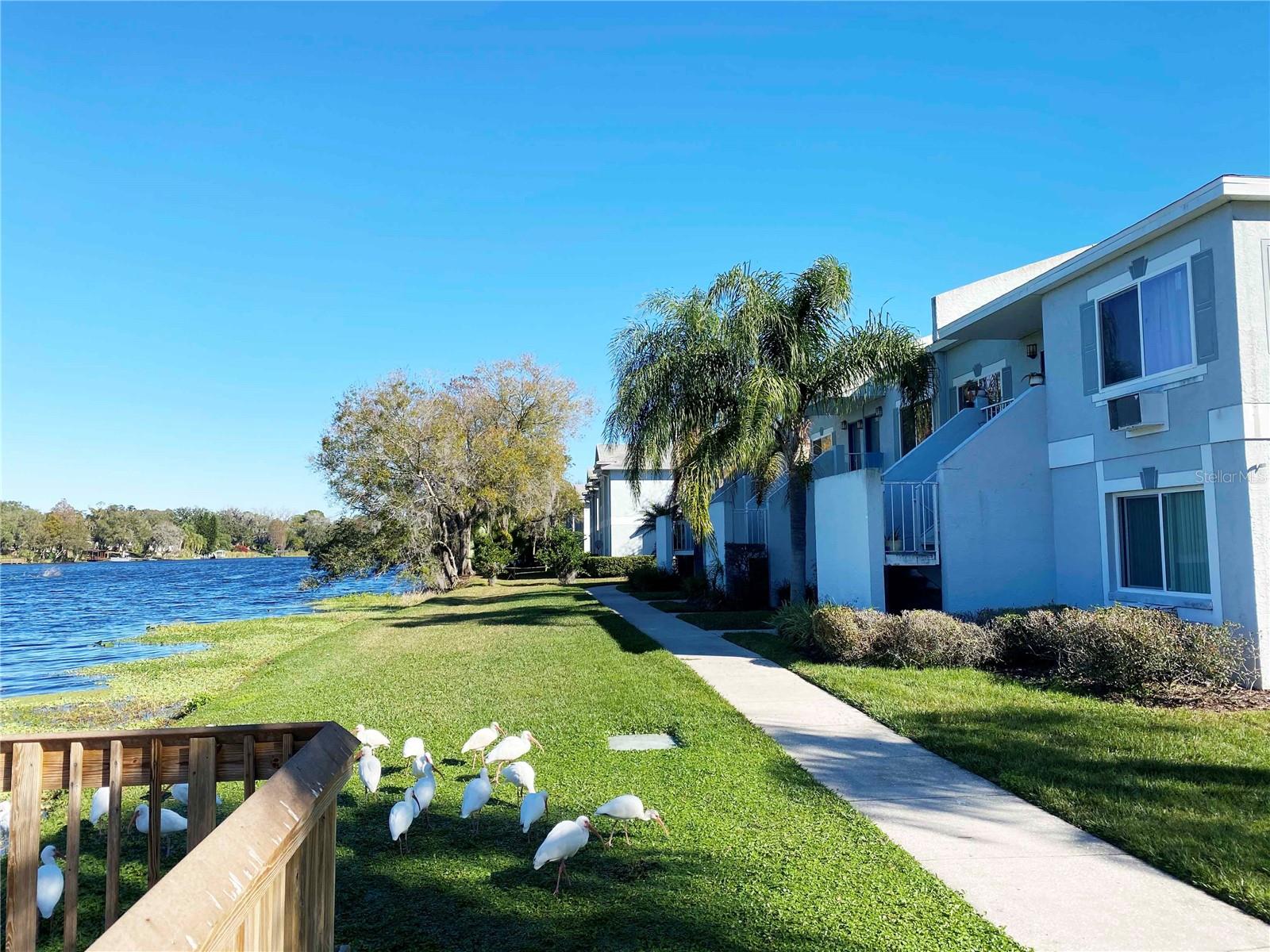 7181 E BANK DR #103, TAMPA, FL, 33617