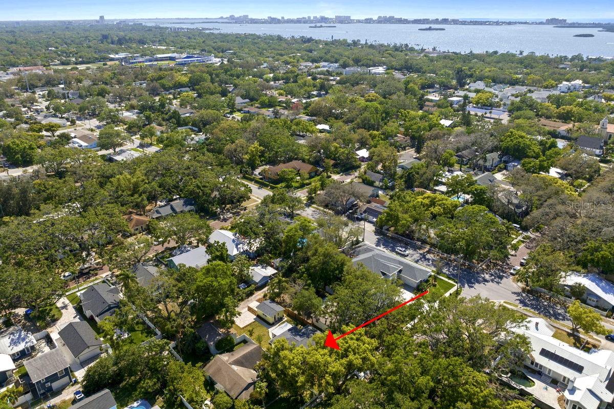 617 SCOTLAND ST, DUNEDIN, FL, 34698