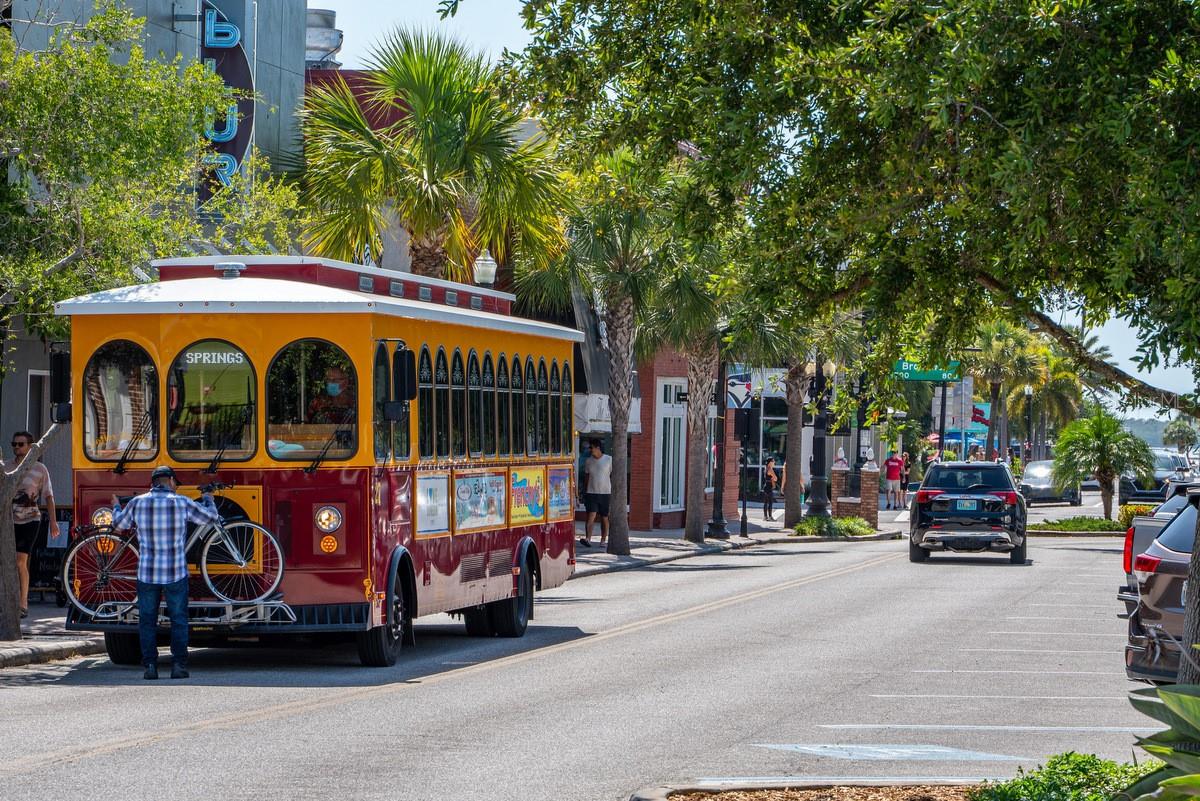 617 SCOTLAND ST, DUNEDIN, FL, 34698