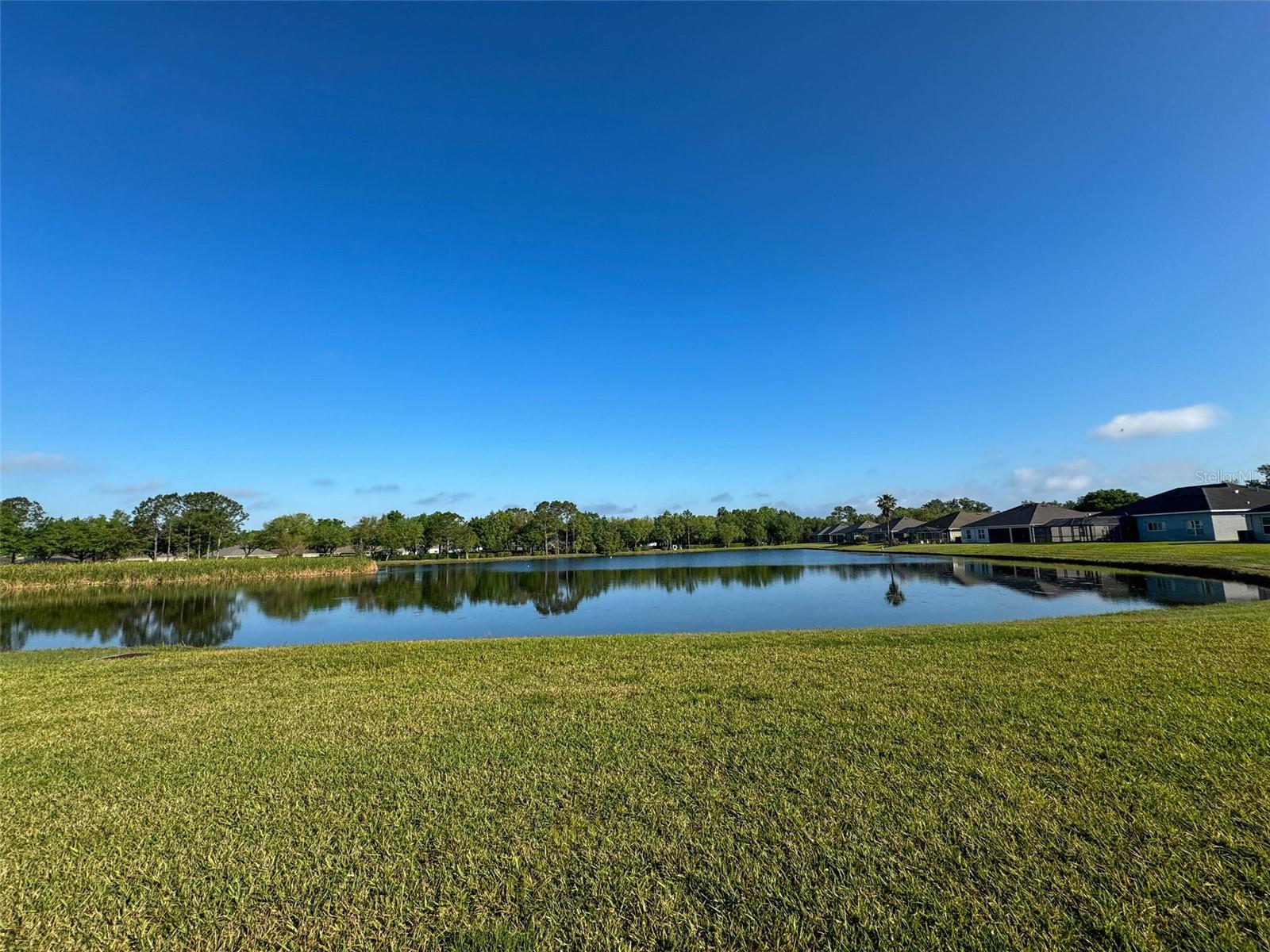 19879 TATTNALL WAY, BROOKSVILLE, FL, 34601