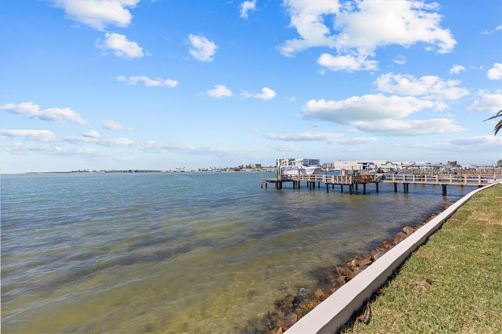 2402 BAYWOOD DR W, DUNEDIN, FL, 34698