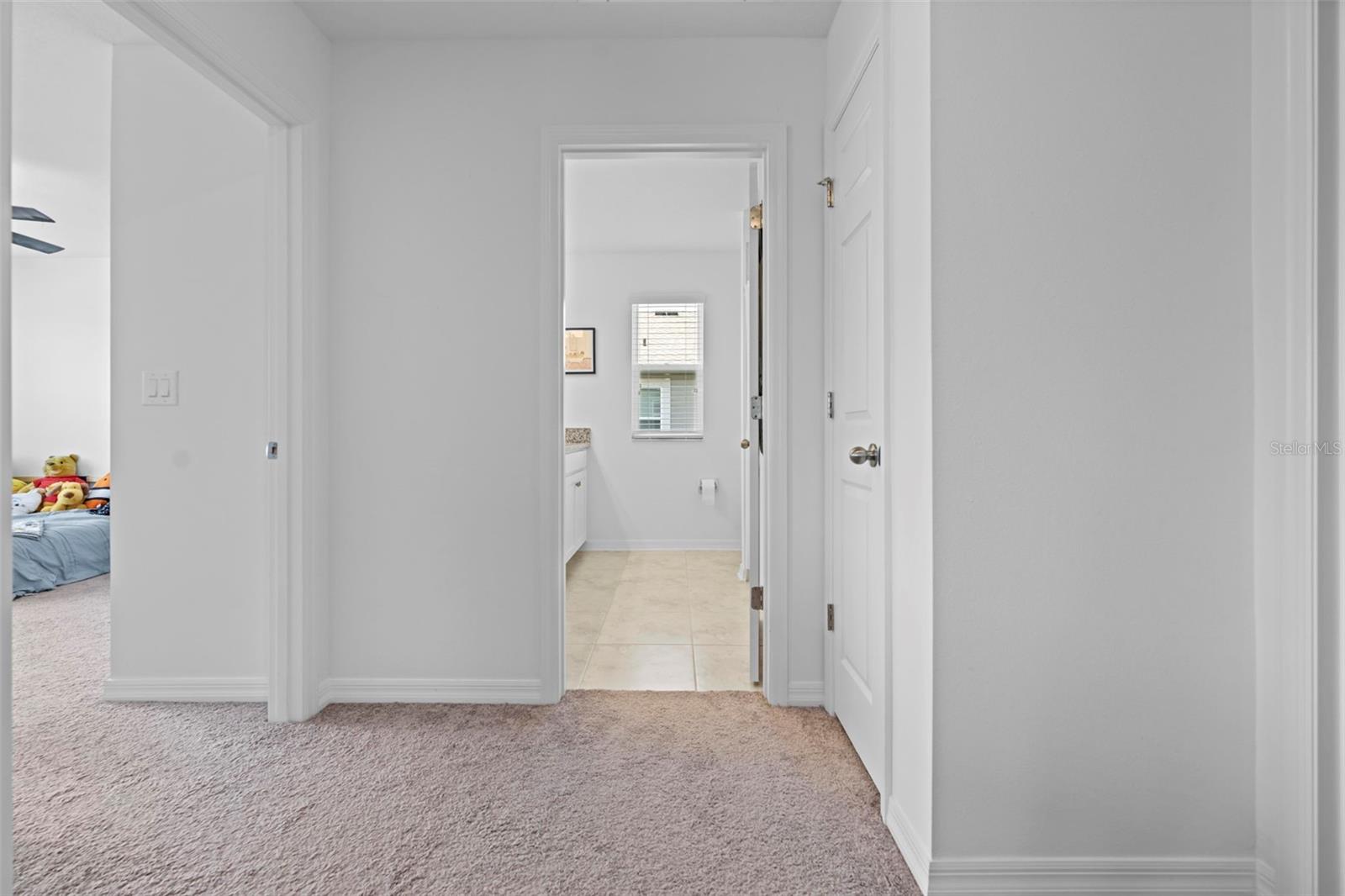 12107 NOUVEAU AVE, SPRING HILL, FL, 34610