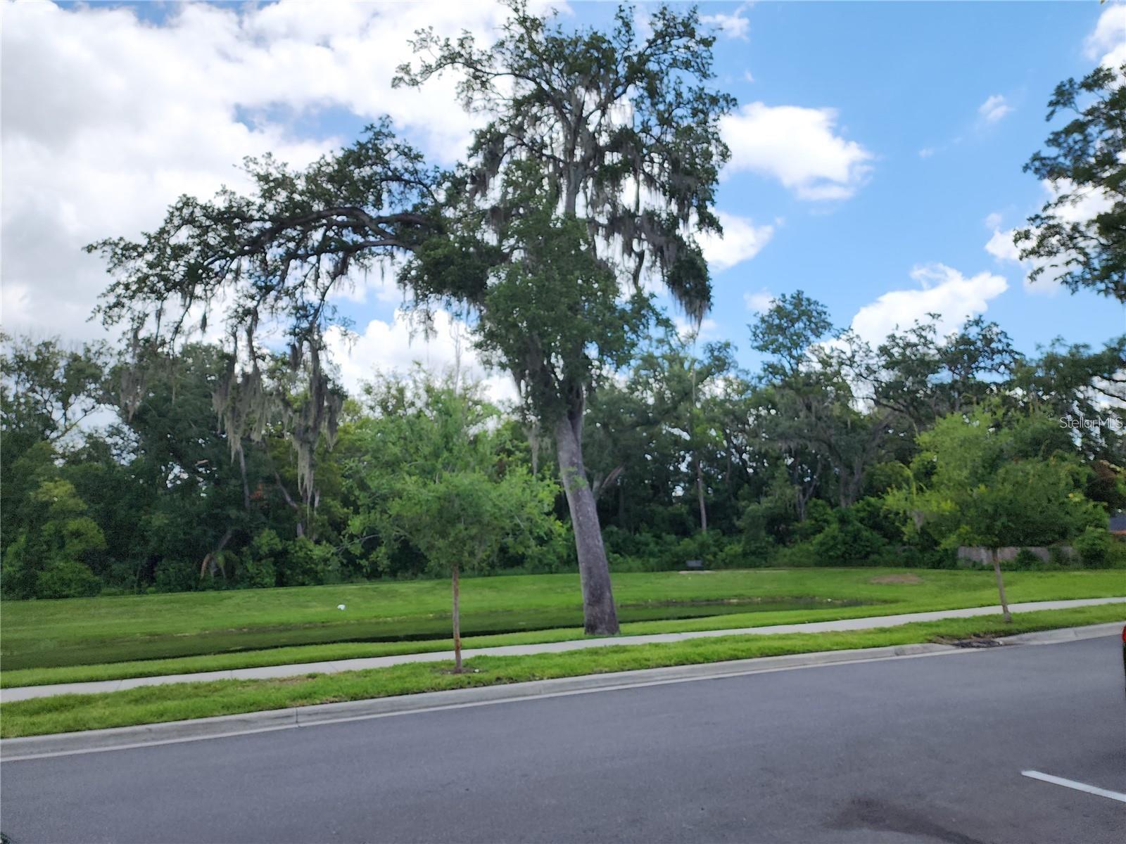 3020 WATER SPRITE ST, ORLANDO, FL, 32808