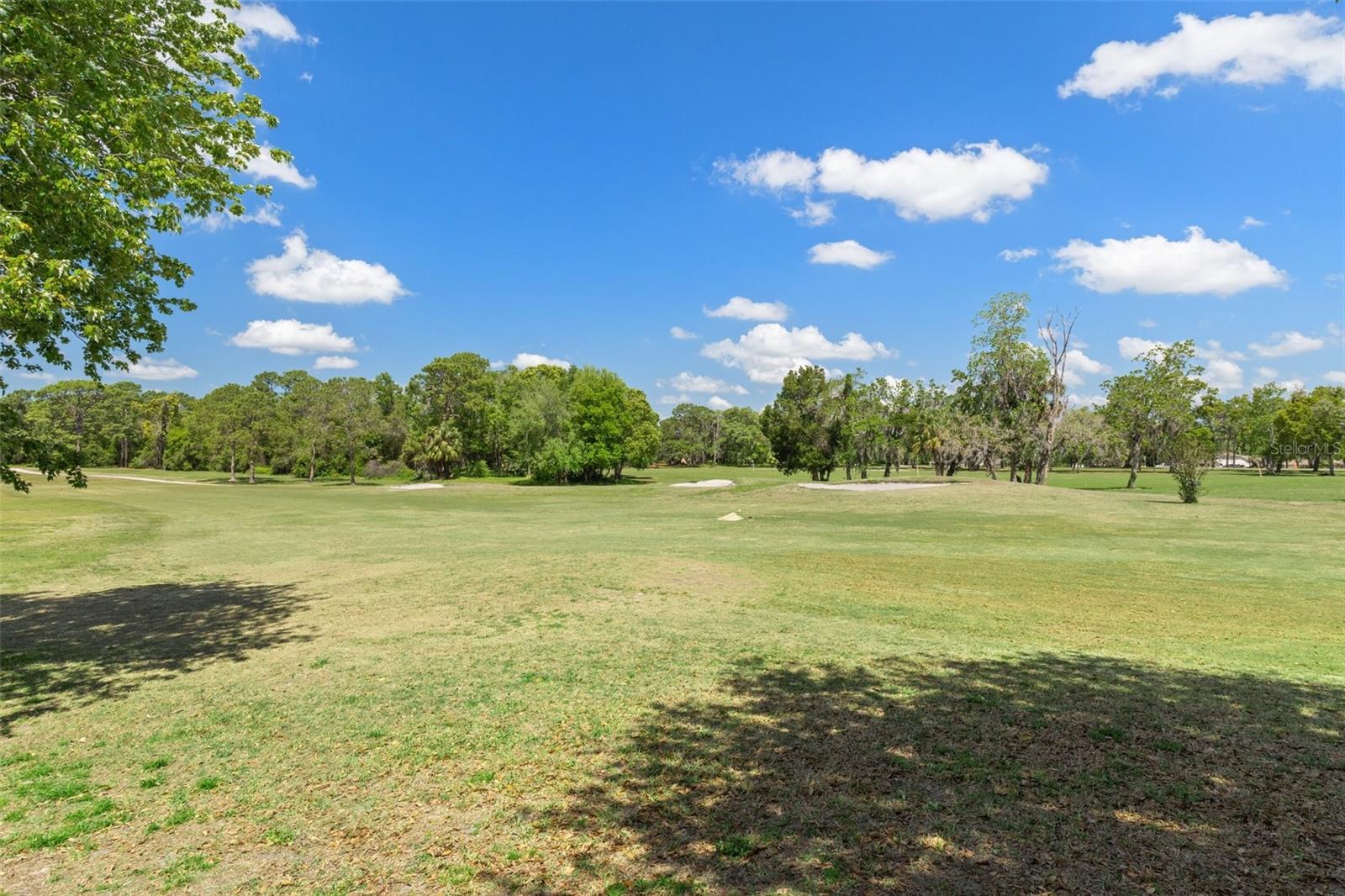 3 CYPRESS RUN #34A, HOMOSASSA, FL, 34446