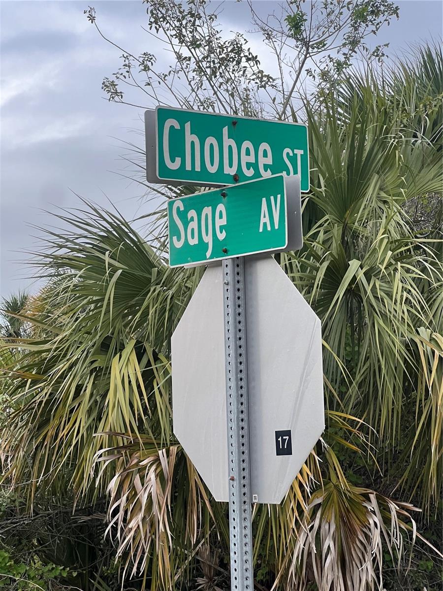 SAGE AVE, PALM BAY, FL, 32908