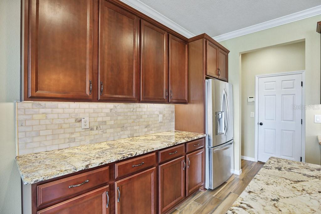 11911 GREENCHOP PL, RIVERVIEW, FL, 33579