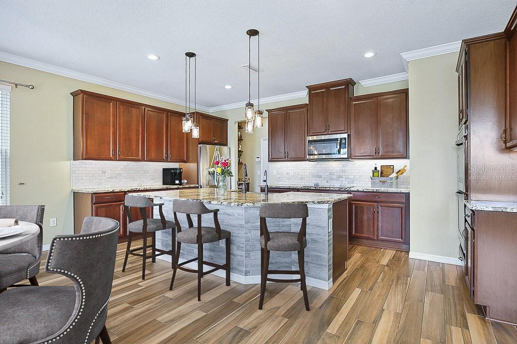 11911 GREENCHOP PL, RIVERVIEW, FL, 33579