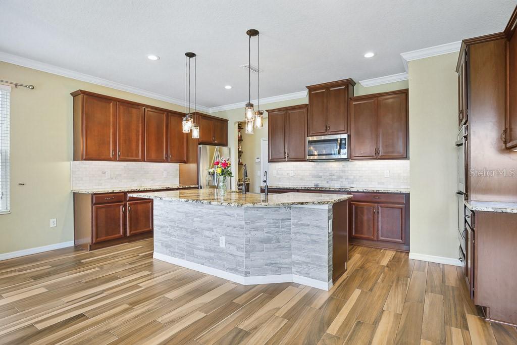 11911 GREENCHOP PL, RIVERVIEW, FL, 33579