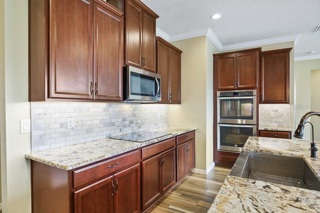 11911 GREENCHOP PL, RIVERVIEW, FL, 33579