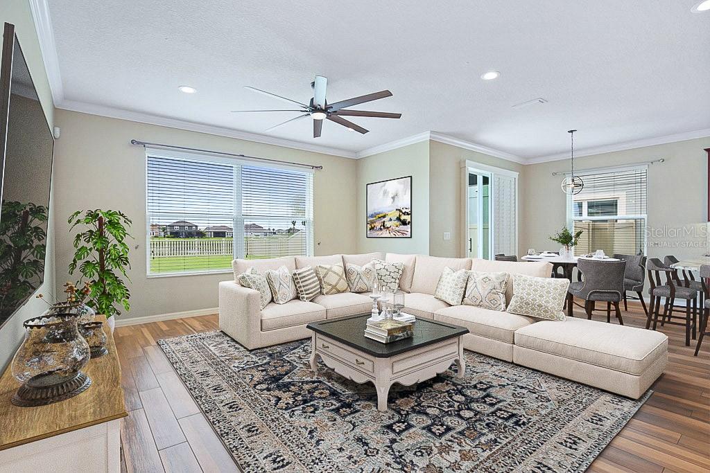 11911 GREENCHOP PL, RIVERVIEW, FL, 33579