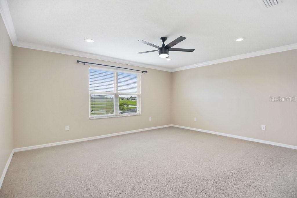 11911 GREENCHOP PL, RIVERVIEW, FL, 33579